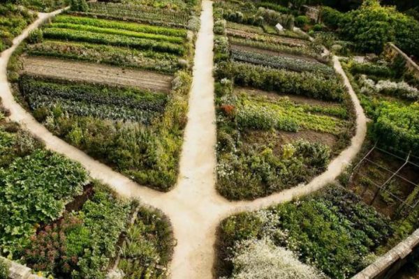 Permaculture Farming: The Future of Sustainable Agriculture